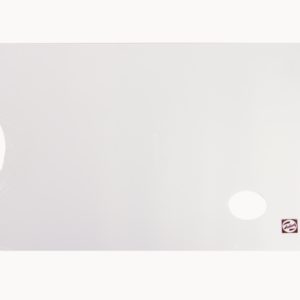 PALETA RECTANGULAR DE PLASTICO LISA 21X30
